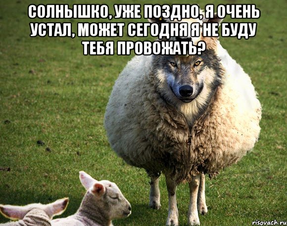 Солнышко, уже поздно, я очень устал, может сегодня я не буду тебя провожать? 