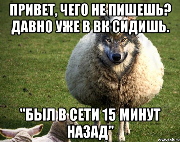 привет, чего не пишешь? давно уже в вк сидишь. "был в сети 15 минут назад", Мем Злая Овца