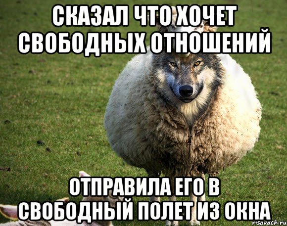 Сказал что хочет свободных отношений Отправила его в свободный полет из окна, Мем Злая Овца