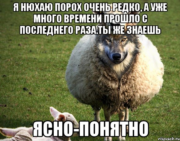 я нюхаю порох очень редко, а уже много времени прошло с последнего раза.ты же знаешь ясно-понятно, Мем Злая Овца