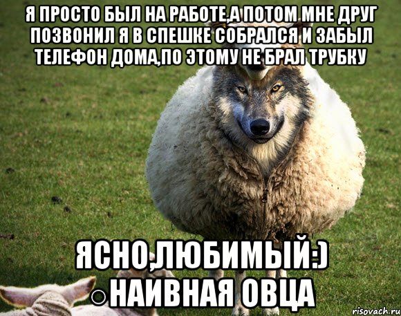 Я просто был на работе,а потом мне друг позвонил я в спешке собрался и забыл телефон дома,по этому не брал трубку Ясно,любимый:) ○Наивная овца, Мем Злая Овца