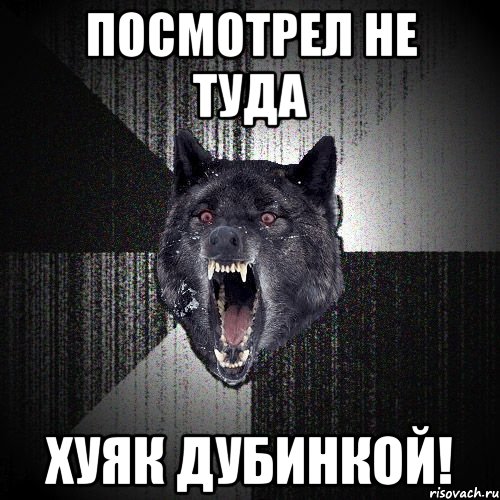 Посмотрел не туда ХУЯК ДУБИНКОЙ!, Мем  Злобный волк