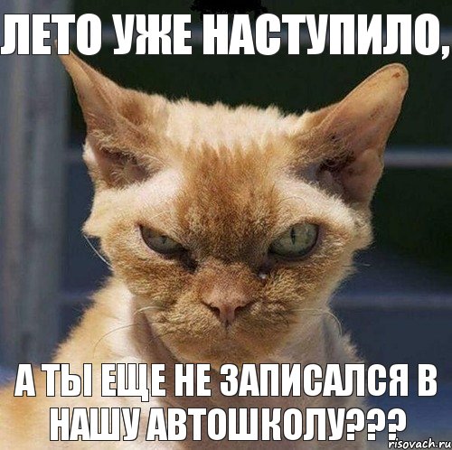 Лето уже наступило, а ты еще не записался в нашу автошколу???