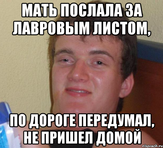 Мать послала за лавровым листом, по дороге передумал, не пришел домой, Мем 10 guy (Stoner Stanley really high guy укуренный парень)