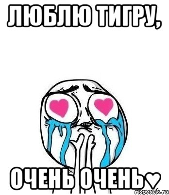 Люблю Тигру, Очень очень♥, Мем Влюбленный