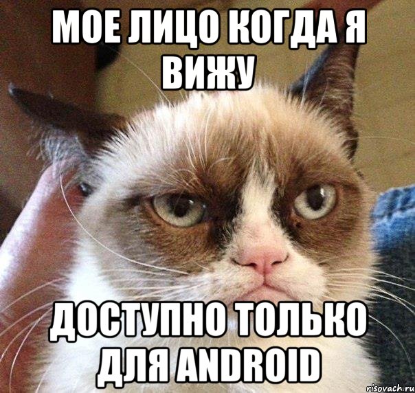 мое лицо когда я вижу доступно только для Android, Мем Грустный (сварливый) кот