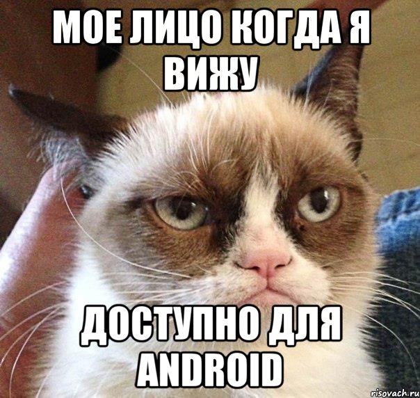 мое лицо когда я вижу доступно для Android, Мем Грустный (сварливый) кот