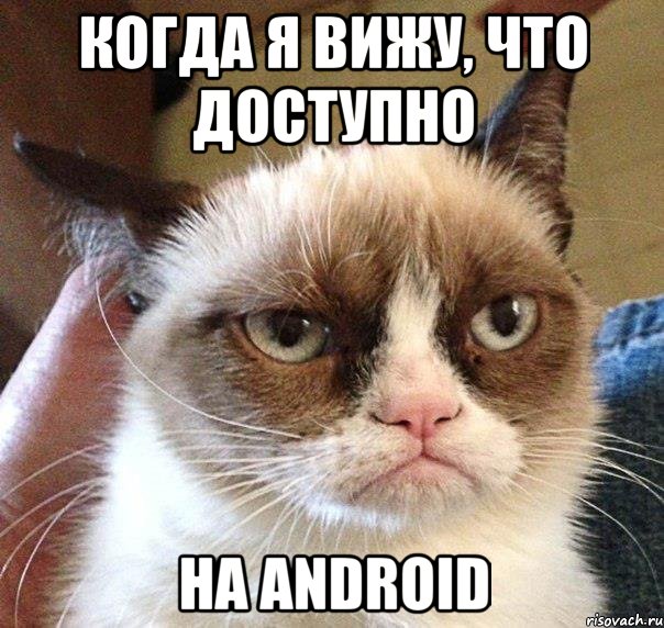 когда я вижу, что доступно на Android, Мем Грустный (сварливый) кот