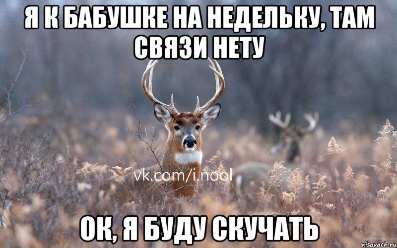 я к бабушке на недельку, там связи нету ок, я буду скучать, Мем   Наивный олень