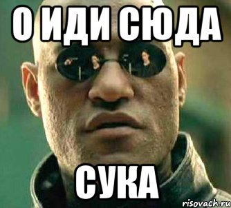 о иди сюда сука, Мем  а что если я скажу тебе