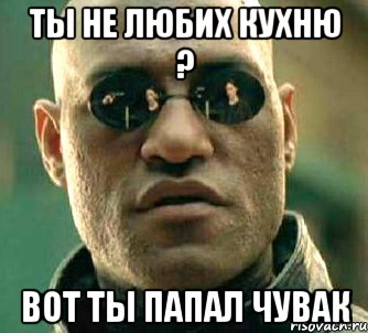 ты не любих кухню ? вот ты папал чувак