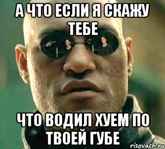 А что если я скажу тебе что водил хуем по твоей губе, Мем  а что если я скажу тебе