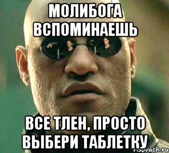 МОЛИБОГА ВСПОМИНАЕШЬ Все тлен, просто выбери таблетку, Мем  а что если я скажу тебе