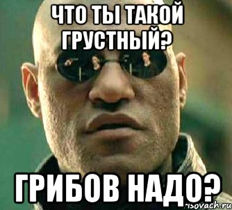 Что ты такой грустный? Грибов надо?, Мем  а что если я скажу тебе