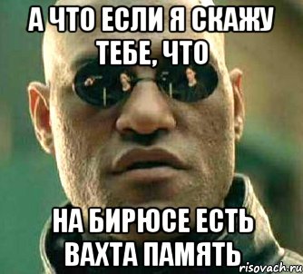 А что если я скажу тебе, что на бирюсе есть вахта память, Мем  а что если я скажу тебе