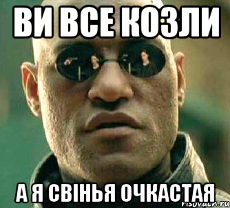 ви все козли а я свінья очкастая, Мем  а что если я скажу тебе