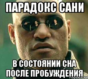 ПАРАДОКС САНИ В СОСТОЯНИИ СНА ПОСЛЕ ПРОБУЖДЕНИЯ, Мем  а что если я скажу тебе