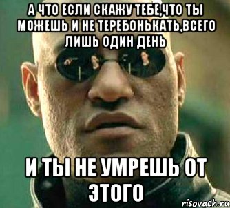 А что если скажу тебе,что ты можешь и не теребонькать,всего лишь один день И ты не умрешь от этого, Мем  а что если я скажу тебе