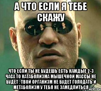 А что если я тебе скажу что если ты не будешь есть каждые 2-3 часа то катаболизма мышечной массы не будет , твой организм не будет голодать и метаболизм у тебя не замедлиться, Мем  а что если я скажу тебе