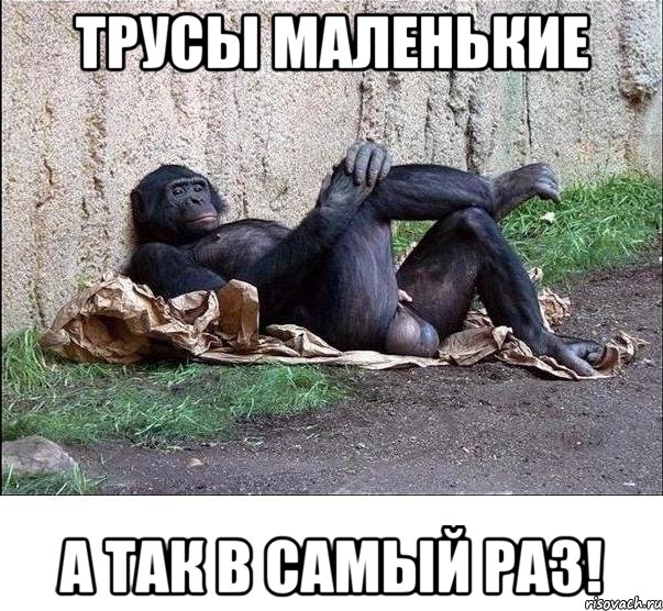 ТРУСЫ МАЛЕНЬКИЕ А ТАК В САМЫЙ РАЗ!, Мем а танцую я не очень