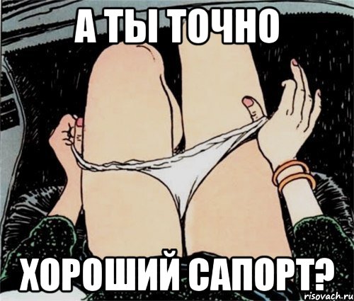 А ты точно Хороший сапорт?, Мем А ты точно