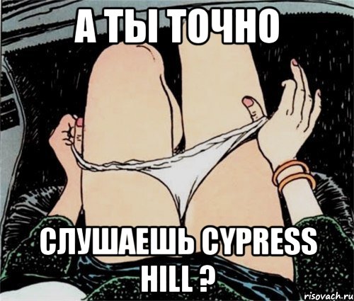 А ты точно Слушаешь Cypress Hill ?, Мем А ты точно