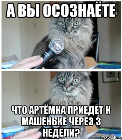 А вы осознаёте Что Артёмка приедет к Машеньке через 3 недели?, Комикс  кот с микрофоном