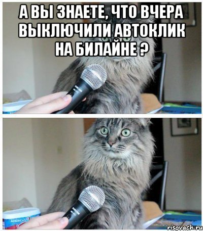 А вы знаете, что вчера выключили автоклик на билайне ? , Комикс  кот с микрофоном