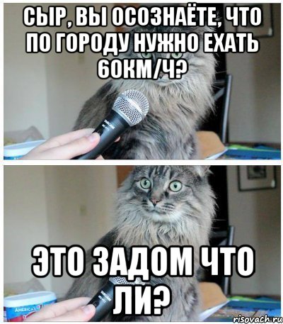 Сыр, вы осознаёте, что по городу нужно ехать 60км/ч? Это задом что ли?, Комикс  кот с микрофоном