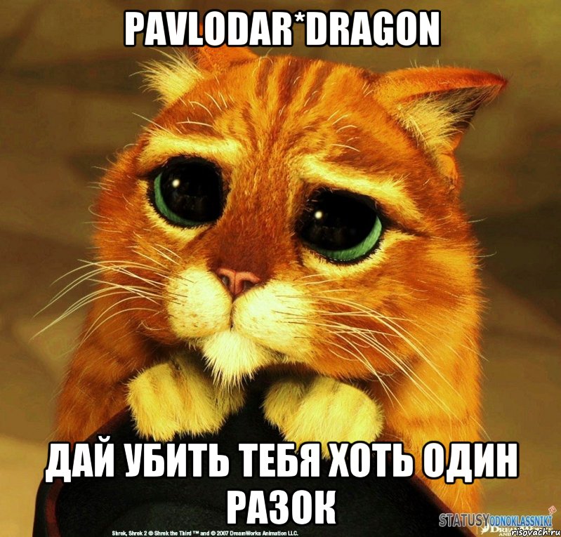 PaVloDaR*DrAgoN дай убить тебя хоть один разок, Мем Котик из Шрека