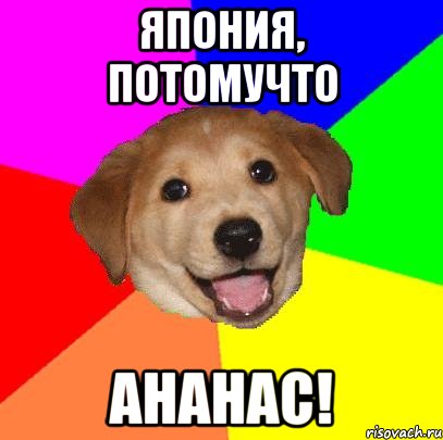 Япония, потомучто АНАНАС!, Мем Advice Dog