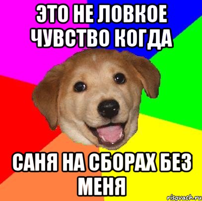 это не ловкое чувство когда Саня на сборах без меня, Мем Advice Dog