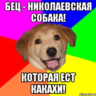 Бец - николаевская собака! Которая ест какахи!, Мем Advice Dog