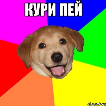 кури пей , Мем Advice Dog