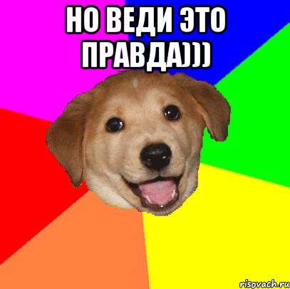 но веди это правда))) , Мем Advice Dog