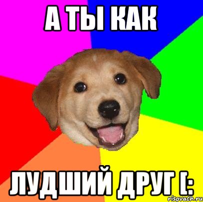 а ты как ЛУДШИЙ ДРУГ [:, Мем Advice Dog