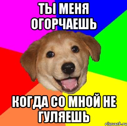 ты меня огорчаешь когда со мной не гуляешь, Мем Advice Dog