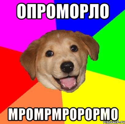 опроморло мромрмрорормо, Мем Advice Dog