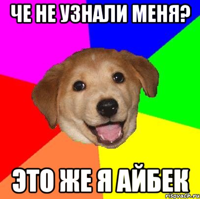 Че не узнали меня? Это же я Айбек, Мем Advice Dog