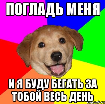 Погладь меня и я буду бегать за тобой весь день, Мем Advice Dog