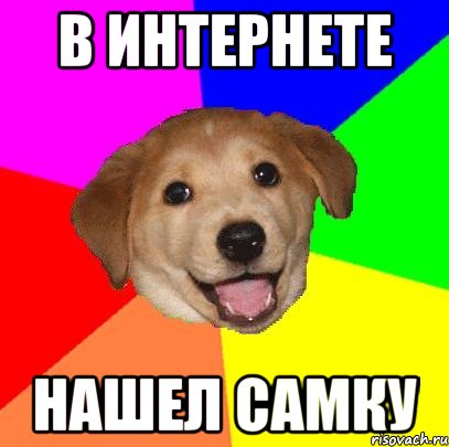 в интернете нашел самку, Мем Advice Dog