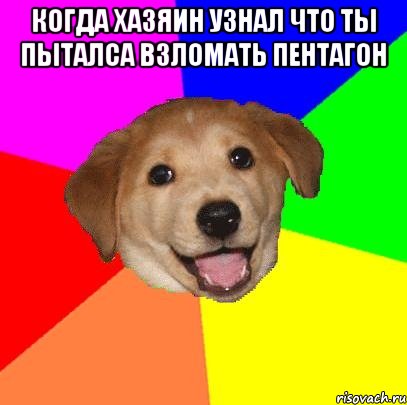 когда хазяин узнал что ты пыталса взломать пентагон , Мем Advice Dog