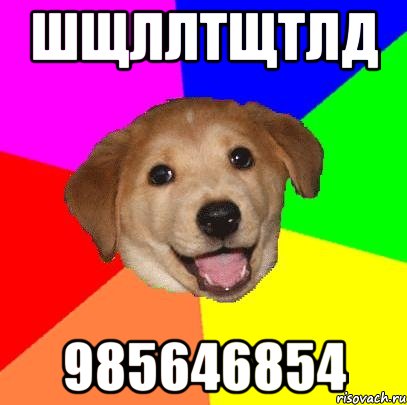 шщллтщтлд 985646854, Мем Advice Dog