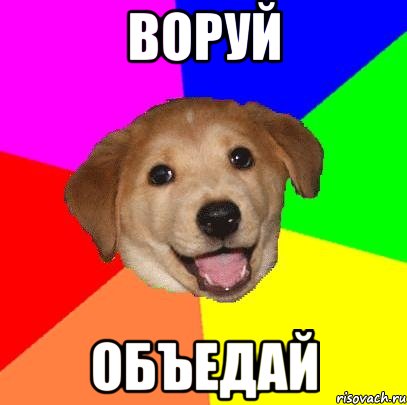 воруй объедай, Мем Advice Dog