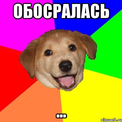 обосралась ..., Мем Advice Dog