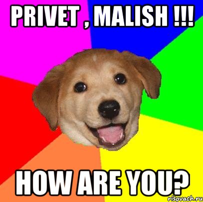 Privet , Malish !!! How are you?, Мем Advice Dog