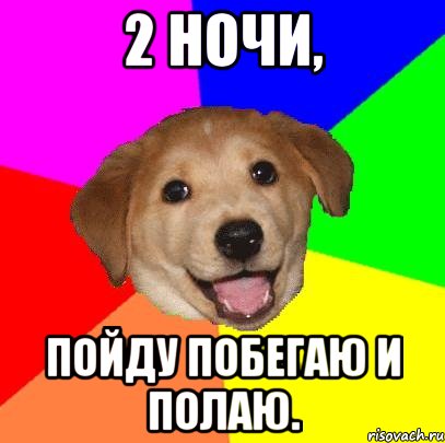 2 ночи, пойду побегаю и полаю., Мем Advice Dog