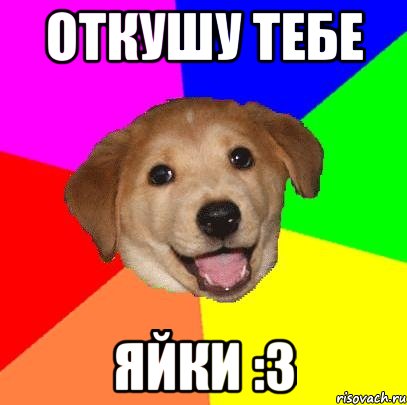 откушу тебе яйки :3, Мем Advice Dog