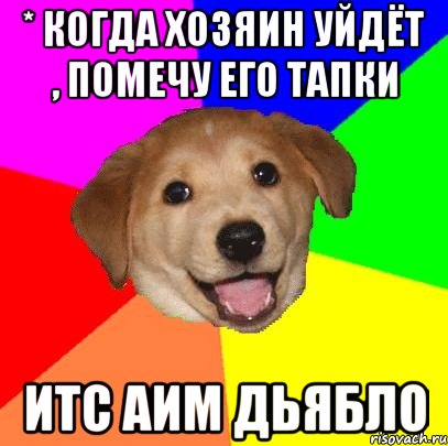 * Когда хозяин уйдёт , помечу его тапки ИТС Аим ДЬЯБЛО, Мем Advice Dog