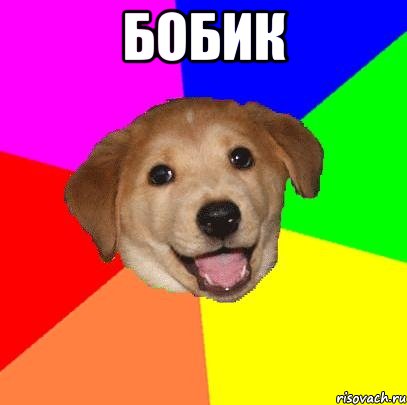 Бобик , Мем Advice Dog